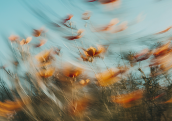 Closeup of solar panel in sunshine